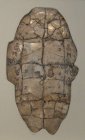 Shang_dynasty_inscribed_tortoise_plastron.jpg
