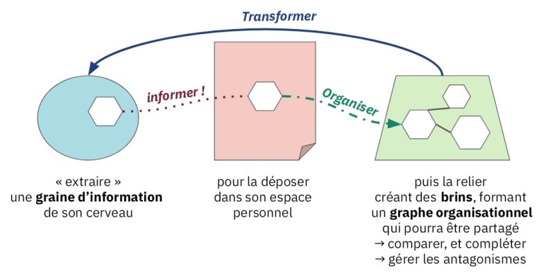 image IMG_20250118_072658.jpg (0.1MB)