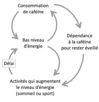 image IMG_20241128_133203.jpg (52.7kB)